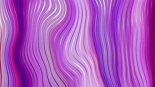 Abstract Fluid Lines Purple Magenta Wavy Background
