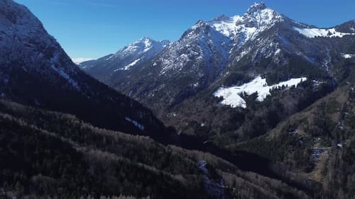 Aerial view of pine forest with snow capped mountains in background on a beautiful sunny day with cl