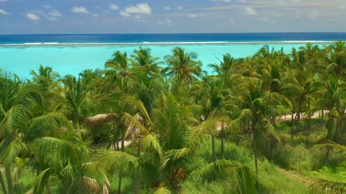 Aerial View Over Tall Palm Trees of Tropical Island Coastline with White Exotic Beach and Turquoise