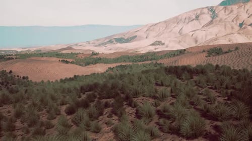 Sand Desert with Some Grass