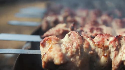 Juicy barbecue cooking on the grill outdoors