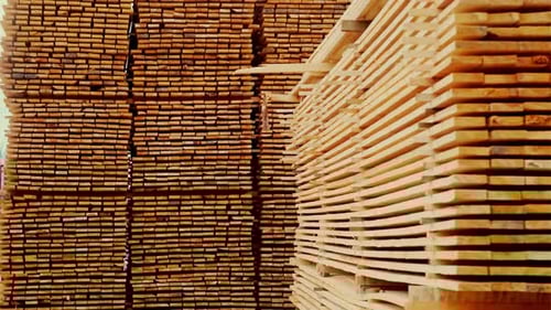 Stacks of Freshly Cut Lumber at Yard