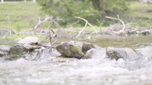 Imagens relaxantes de águas cristalinas de um riacho descendo um belo desfiladeiro na Áustria com muitas pedras e