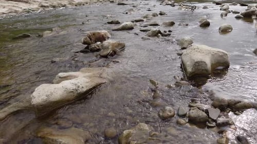 The river water flows calmly
