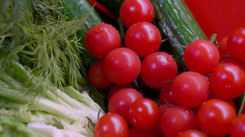Fresh Vegetables: Tomatoes, Cucumbers, Dill, and Lettuce