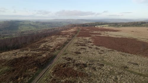 A 4k drone shot flying backwards revealing autumn moorland and a rural path.