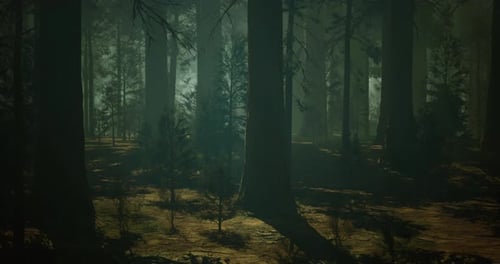 Enchanted Forest Landscape with Sun Rays Filtering Through Trees