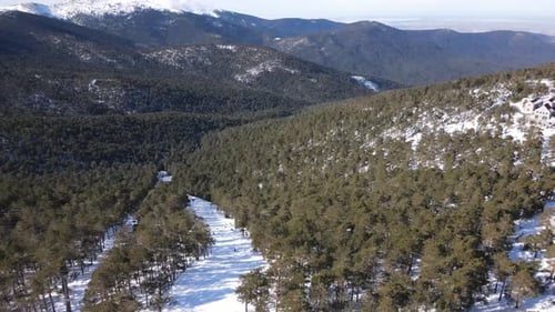 Imposing view of the Guadarrama mountain range area in Madrid, Spain, with a beautiful snowy forest.