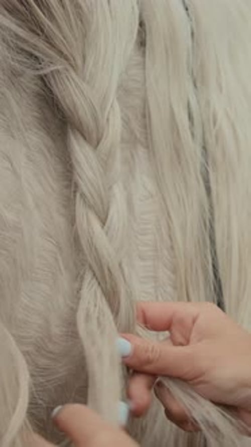 Manos femeninas irreconocibles trenzando melena de caballo blanca