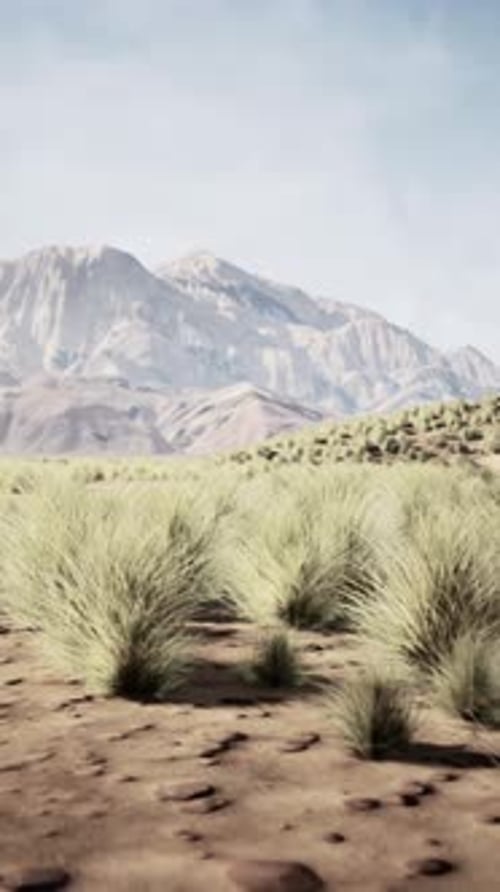 Desert Scene With Mountain Background