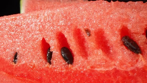 Watermelon in macro video