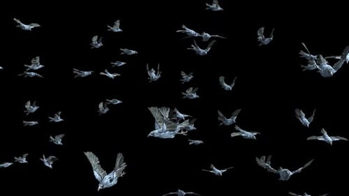 3D Animation of Flying Icy Crows