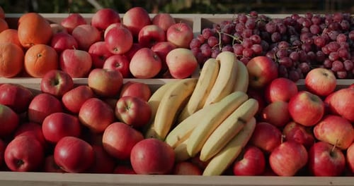 Top View The Counter with Fruit Apples Oranges and Bananas Fruits From Local Farmers at the Fair