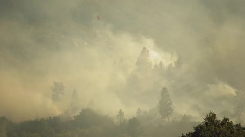 Smoke rises from forest fire in America, natural disaster, climate change, static shot