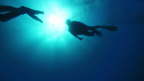 Couple of Professional Divers Rises Upward Floating Into Light