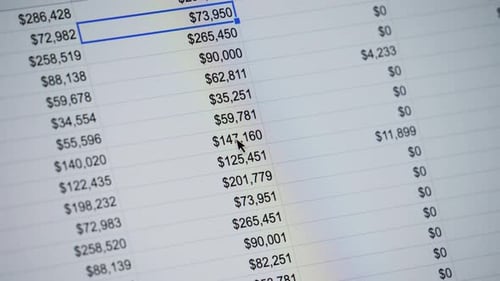Closeup of Financial Cash Flow Data on PC Screen