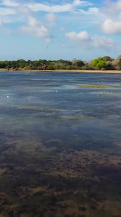 Tropical Landscape with a Lake Sri Lanka