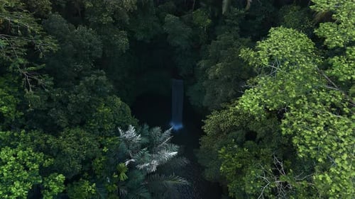Waterfall in Tropical Rain Forest on Bali Island Aerial Drone View