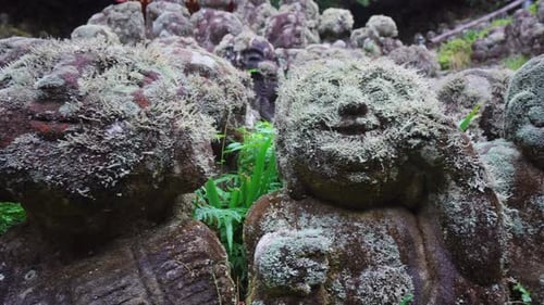 The statues of the Otagi Nenbutsu-ji temple in Kyoto, Japan are very unique, as each one is handmade