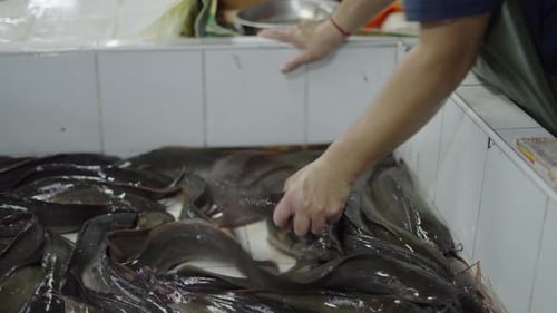 Fischverkäufer wählt lebende Fische aus und nimmt sie einen nach dem anderen aus einer mit Wasser gefüllten Wanne, bevor er sie zubereitet