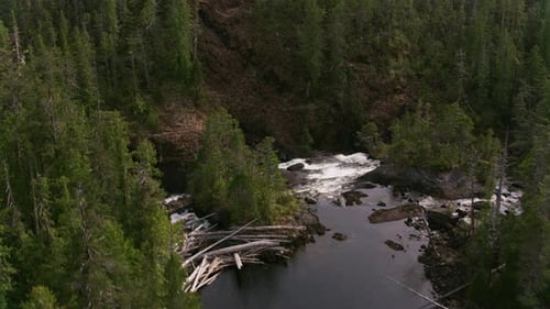 British columbia waterfalls flowing freely through a lush green forested landscape