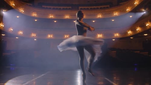 Ballet Female Dancer Practices in Tutu Dress