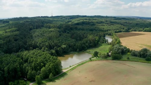 Aerial drone shot of a lake by the forest and field during summer