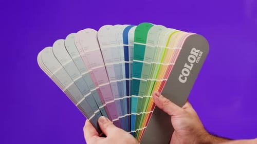 Color Pallet Choosing the Color By Designer Furniture Real Estate or Construction Works Creative