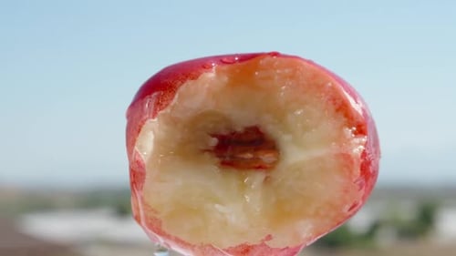 Rotating Peach Gets Eaten in a Close Up Shot