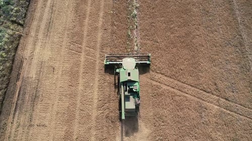 Aerial View of Harvester Combine Are Cultivate the Land at Summer Season