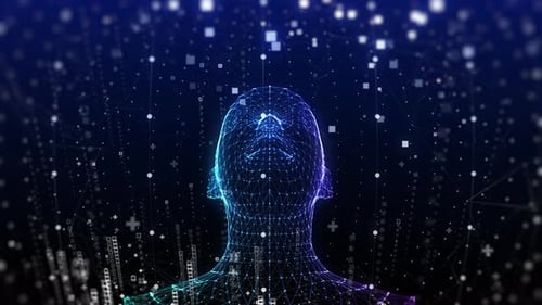 Futuristic Digital Human Head Wireframe Data Network Loop