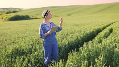 Farmer Using Tablet in Field