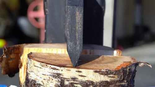 Wet birch firewood round split by steel splitter blade. Extreme close up slow motion