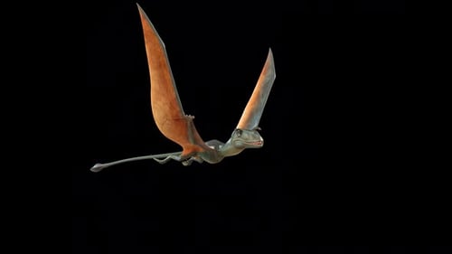 Realistic Pterodactyl Dinosaur Flying 3D Animation