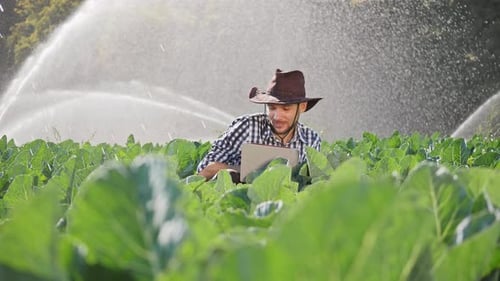 Farmer Using Digital Tablet During Monitoring His Plantation