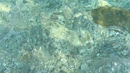 Clear water rippling gently over stones, reflecting sunlight with shimmering patterns and textures.