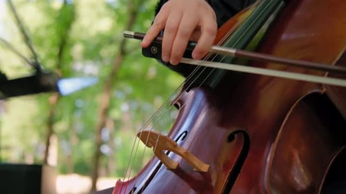 Close Up of Woman Hand Playing Cello Orchestra Musicians Instruments Out of Doors