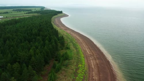 A Green Forest Stands on the Seashore
