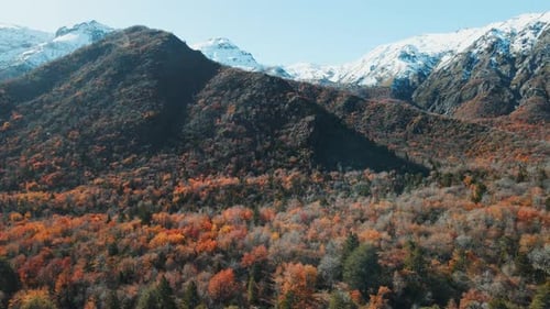 Vista aérea ascendente desde el parque nacional Radal 7 Tazas que revela las montañas de los Andes durante el día