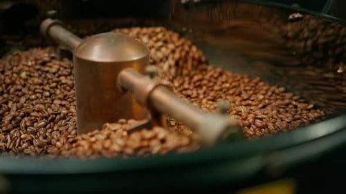 Coffee production is the process of roasting fresh coffee beans coffee beans are poured container