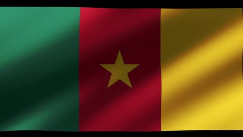 Realistic Waving Cameroon Flag Seamless Loop