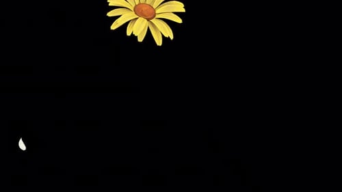 Daisy Slow Fall auf Alpha