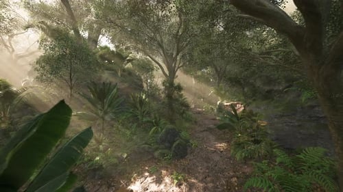 Sunlight Filtering Through Lush Forest Greenery on a Tranquil Path
