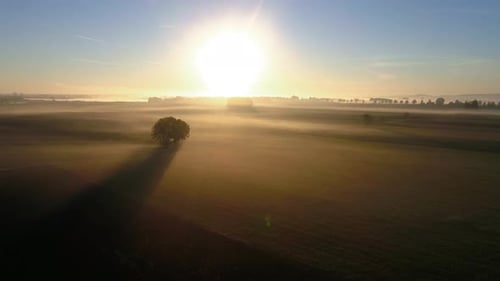 4K aerial slow motion flight at sunrise over foggy agricultural fields in germany