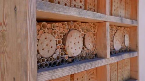 wooden insect and bugs house