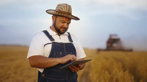 Crop Picking in Farmland Harvest Season in Agriculture Region Farmer in Farm Agronomist Walking in