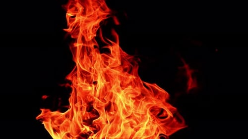 Logs stacked in pile burn in the big bonfire. Long flames stretch into the darkness. Close up.