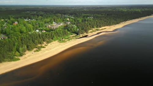 Aerial View Displaying the Serene Beach and the Lush Vibrant Forest Landscape Beneath a Beautiful
