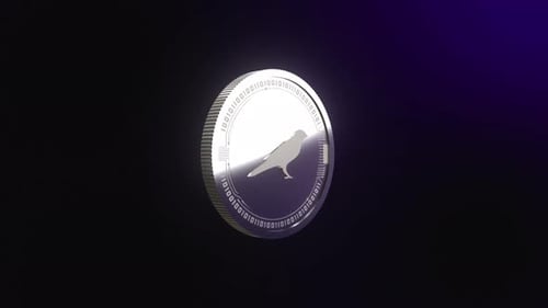 Animation rotative de la pièce d'argent de la crypto-monnaie Kusama