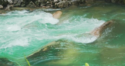 Clear water stream flowing in rocky gorge